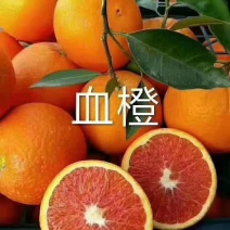 秭归精中华红血橙，大量供应，果面光滑，汁多无渣。65起步