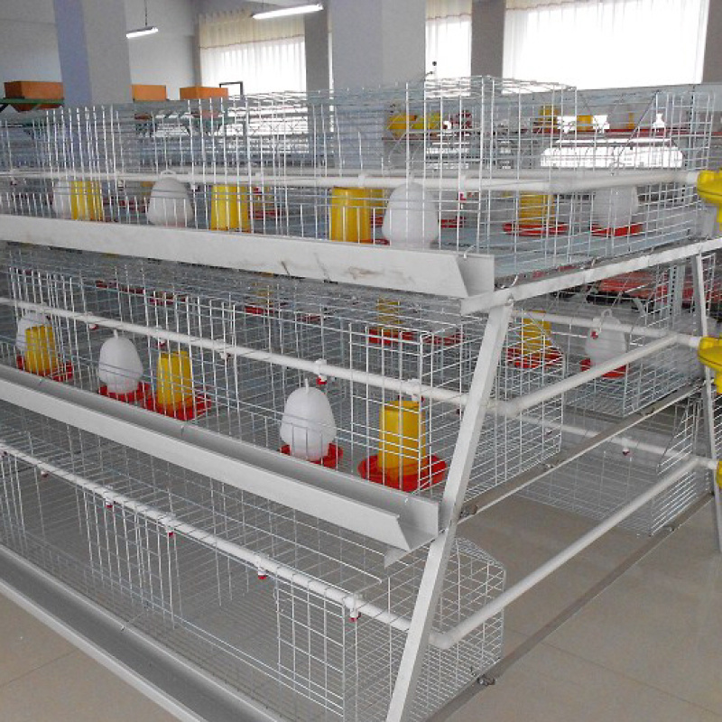阶梯式育雏笼，阶梯式笼具