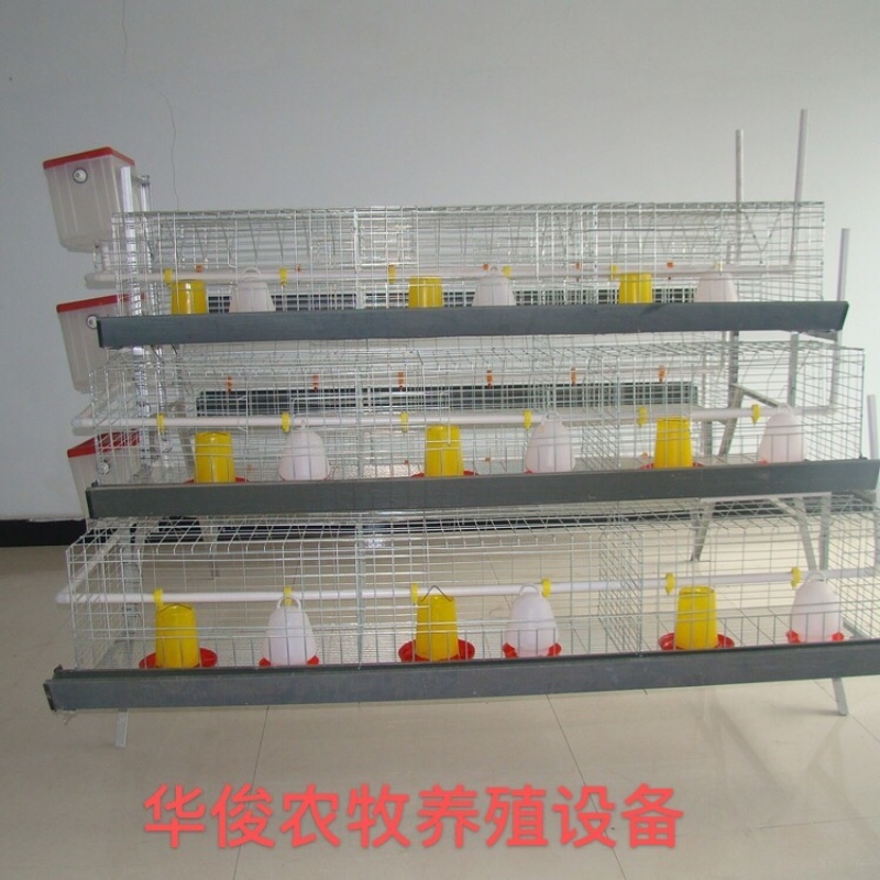 阶梯式育雏笼，阶梯式笼具