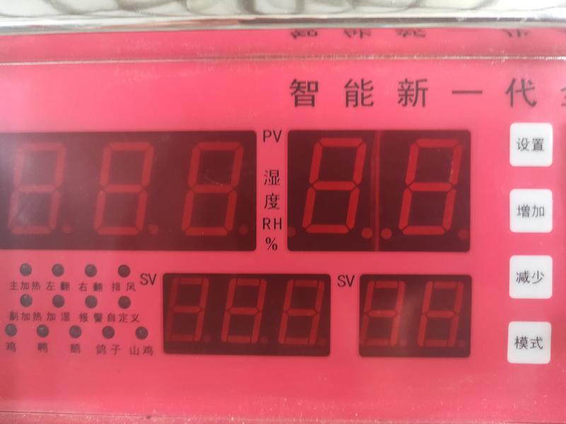 全自动温湿度控制器智能温控器孵化机专用微电脑控制器