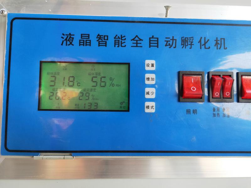 全自动温湿度控制器智能温控器孵化机专用微电脑控制器