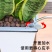 种植神器懒汉花盆常年供货，质量保证，后顾无忧