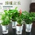 懒汉花盆种植神器，从此种植无忧，质量保证常年供货