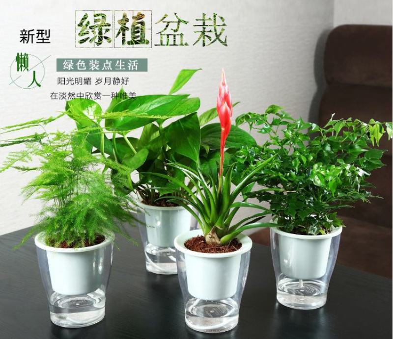 懒汉花盆种植神器，从此种植无忧，质量保证常年供货