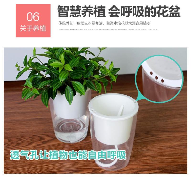 懒汉花盆种植神器，从此种植无忧，质量保证常年供货
