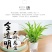 懒汉花盆种植神器，从此种植无忧，质量保证常年供货