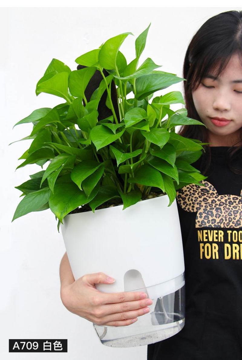 懒汉花盆种植神器质量保证常年供货质量是硬道理，质量决定成