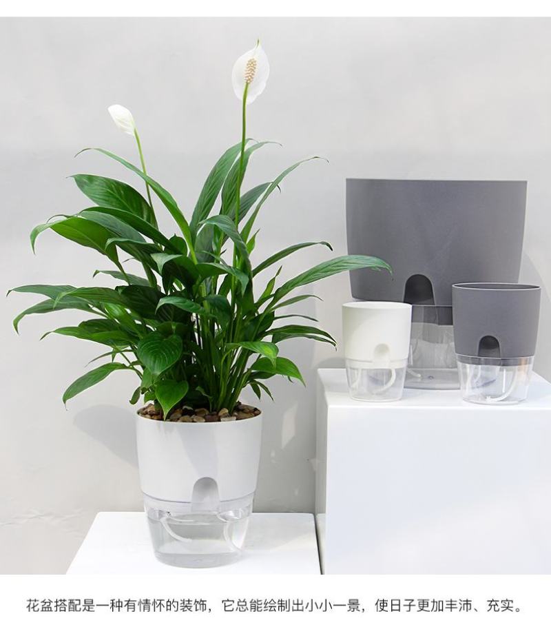 懒汉花盆种植神器质量保证常年供货质量是硬道理，质量决定成