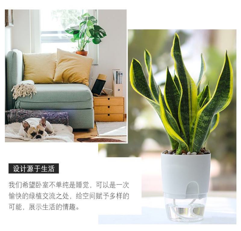 懒汉花盆种植神器质量保证常年供货质量是硬道理，质量决定成