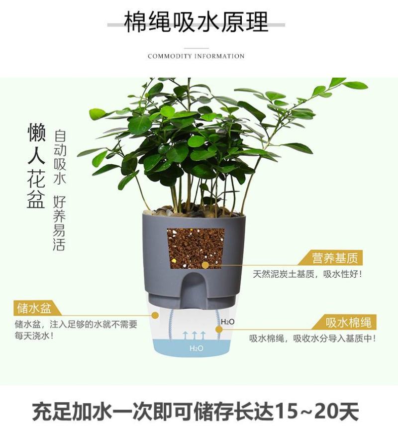 懒汉花盆种植神器质量保证常年供货质量是硬道理，质量决定成