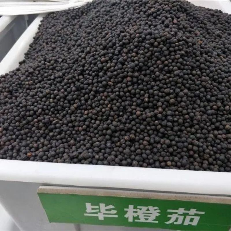 澄茄子荜澄茄山苍子货好量大要多优惠欢迎下单