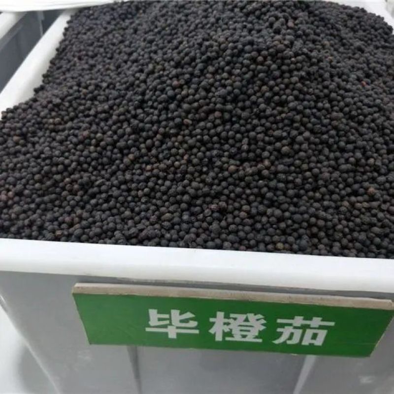 澄茄子荜澄茄山苍子货好量大要多优惠欢迎下单