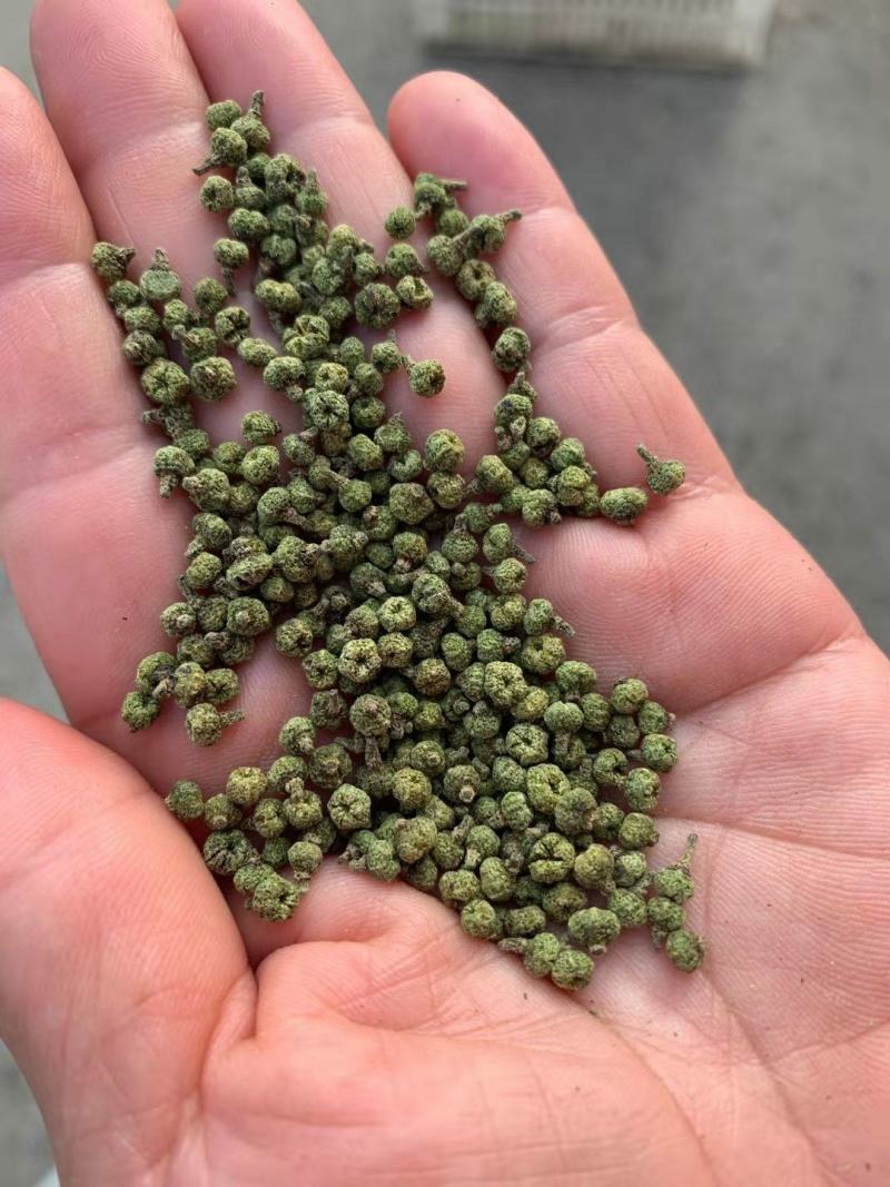 江西中花吴茱萸纯青精品