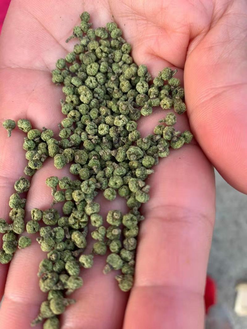 江西中花吴茱萸纯青精品