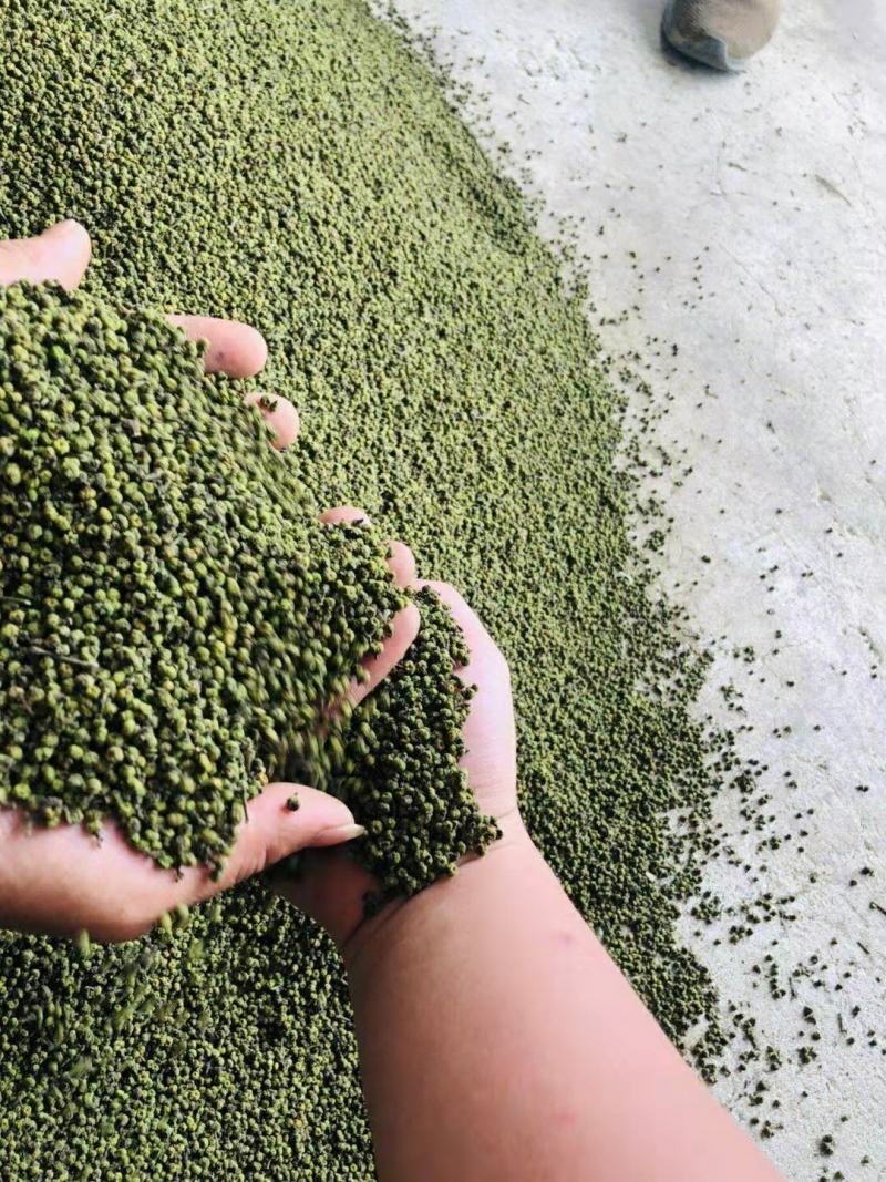 江西中花吴茱萸纯青精品