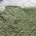 江西中花吴茱萸纯青精品