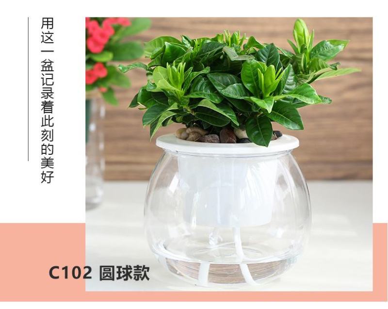 盆栽神器，懒汉花盆，室内种植新风尚，一盆在手，种植无忧！