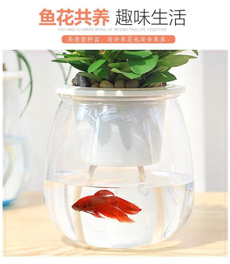 盆栽神器，懒汉花盆，室内种植新风尚，一盆在手，种植无忧！