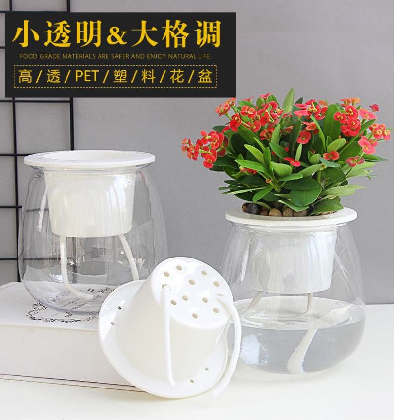 盆栽神器，懒汉花盆，室内种植新风尚，一盆在手，种植无忧！