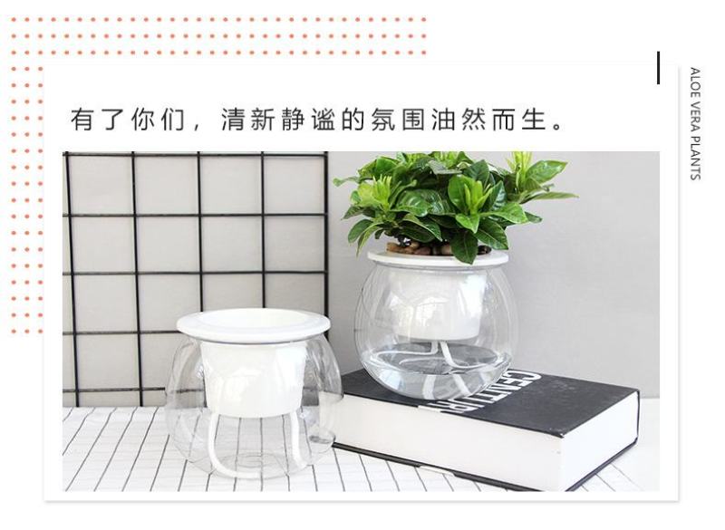 盆栽神器，懒汉花盆，室内种植新风尚，一盆在手，种植无忧！