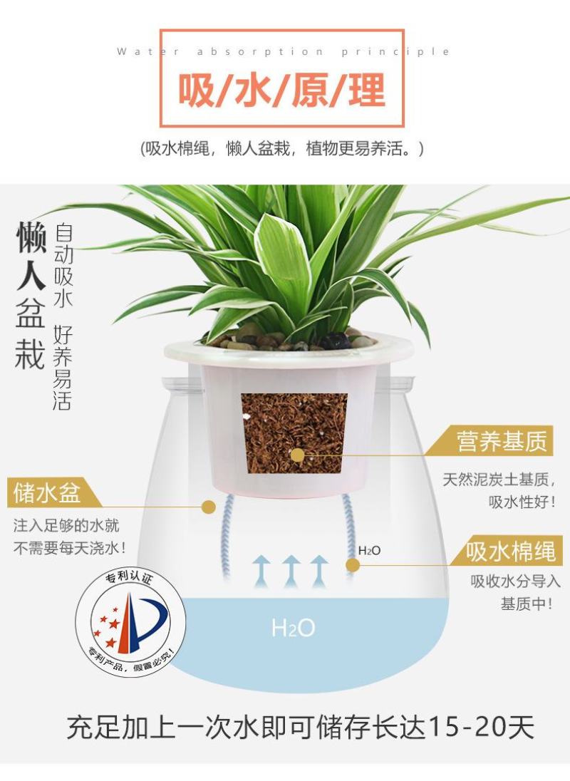 盆栽神器，懒汉花盆，室内种植新风尚，一盆在手，种植无忧！