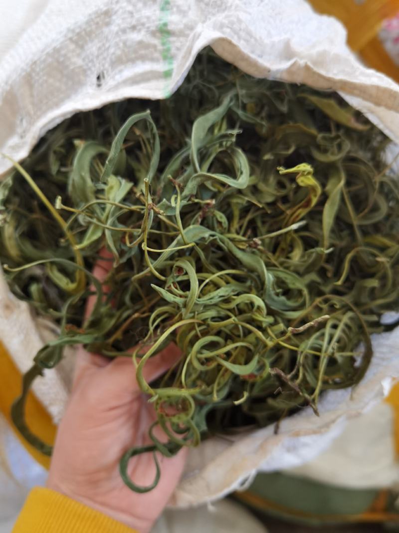 大叶化石草，产地批发
