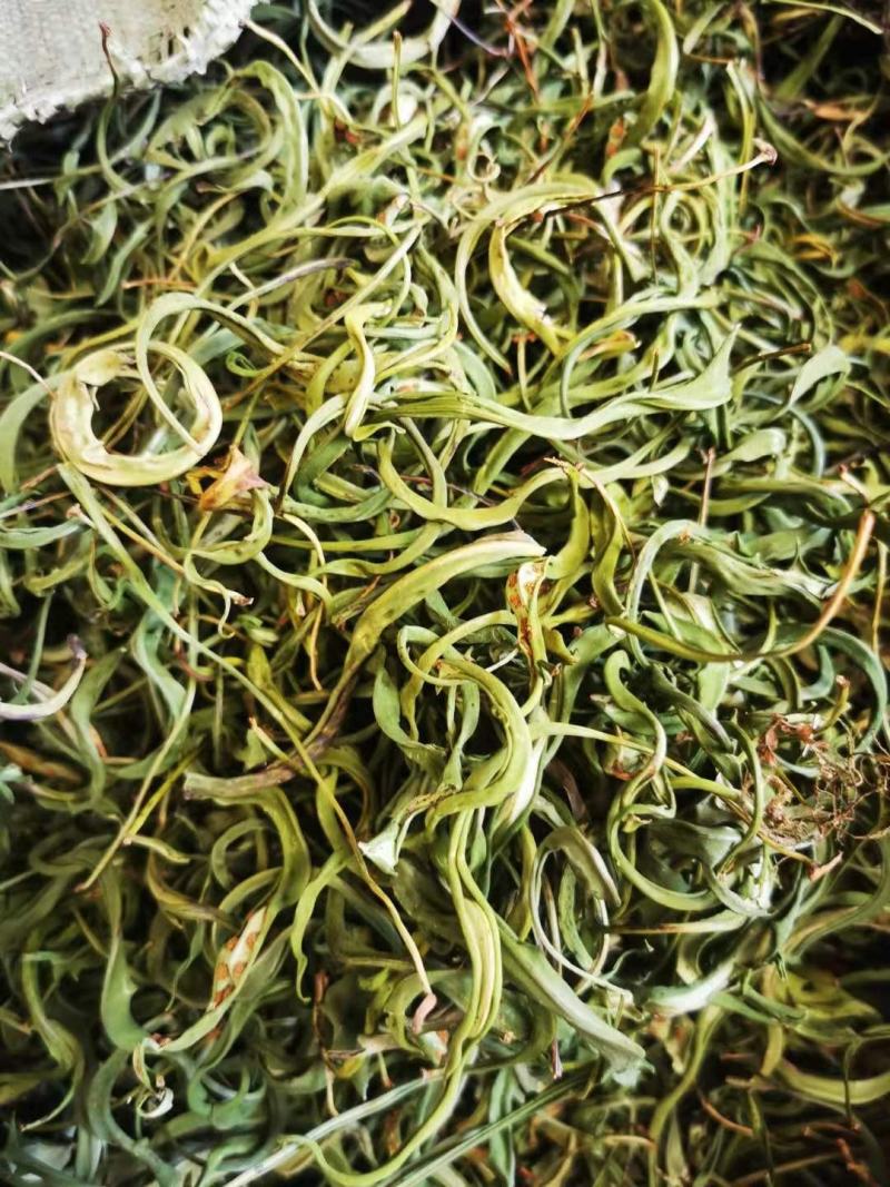 大叶化石草，产地批发