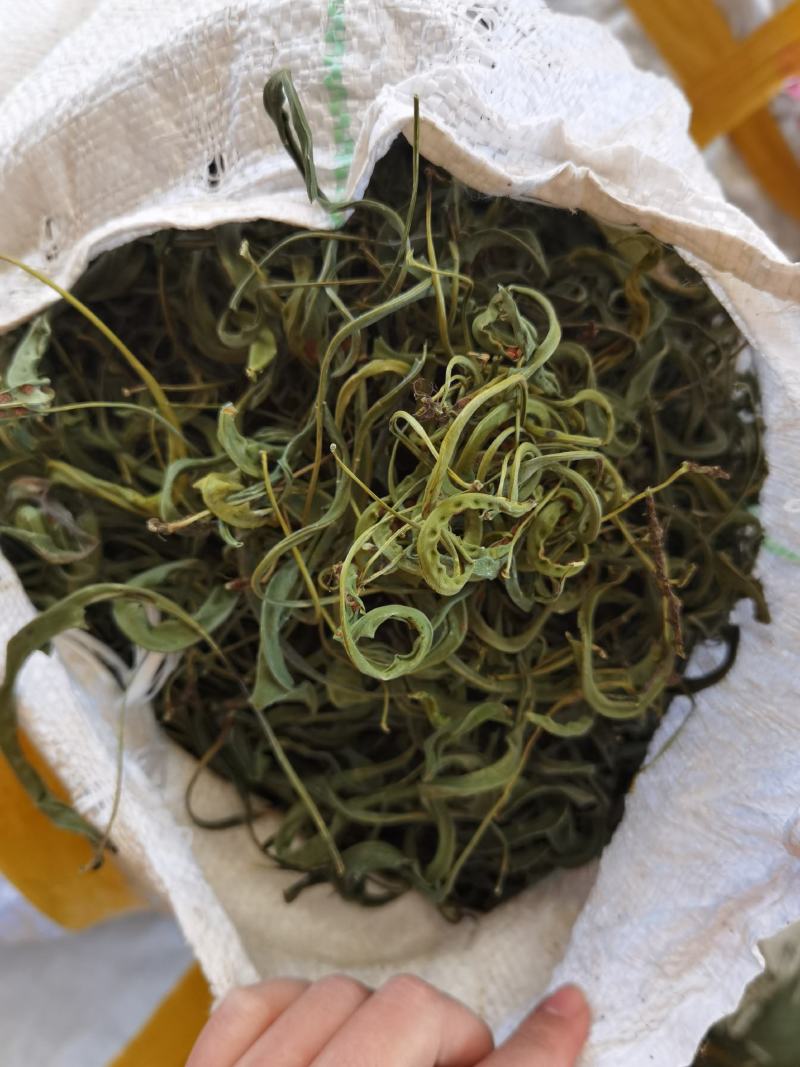大叶化石草，产地批发
