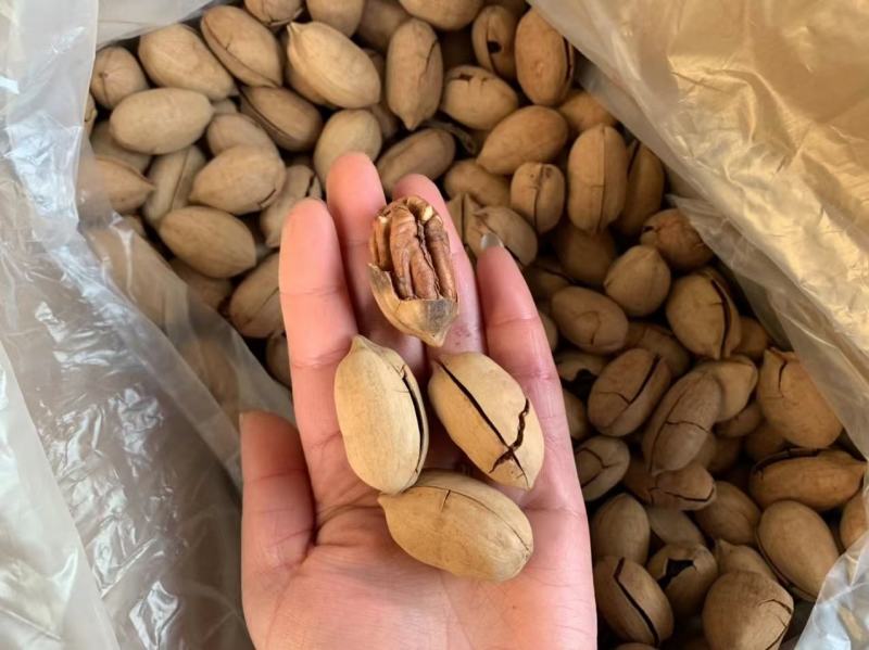 碧根果巴旦木地摊展销会热卖产品