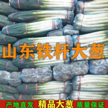 优质铁杆大葱，代发毛葱，通货，加工厂，净葱全国发货(包售后)