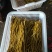 酸豆角大量出售酸豆角
