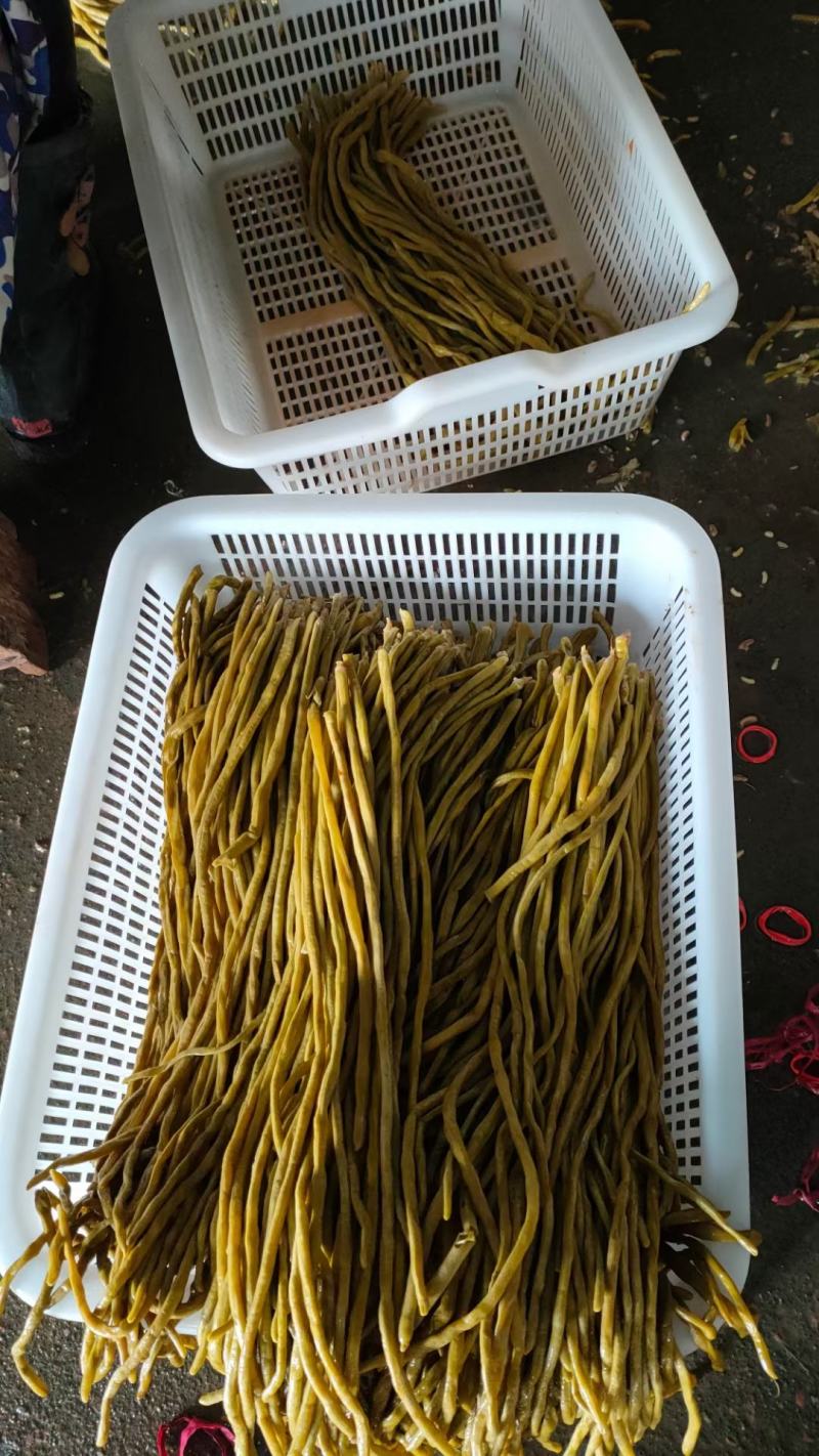 酸豆角大量出售酸豆角