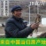 甘肃岷县无硫大条当归条，当归片产地批发（包邮）