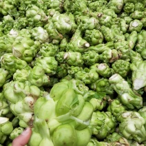 榨菜青菜头眉山特产榨菜