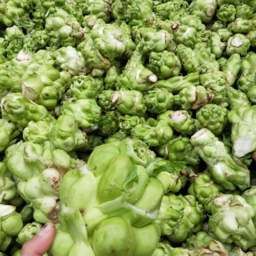 榨菜青菜头眉山特产榨菜