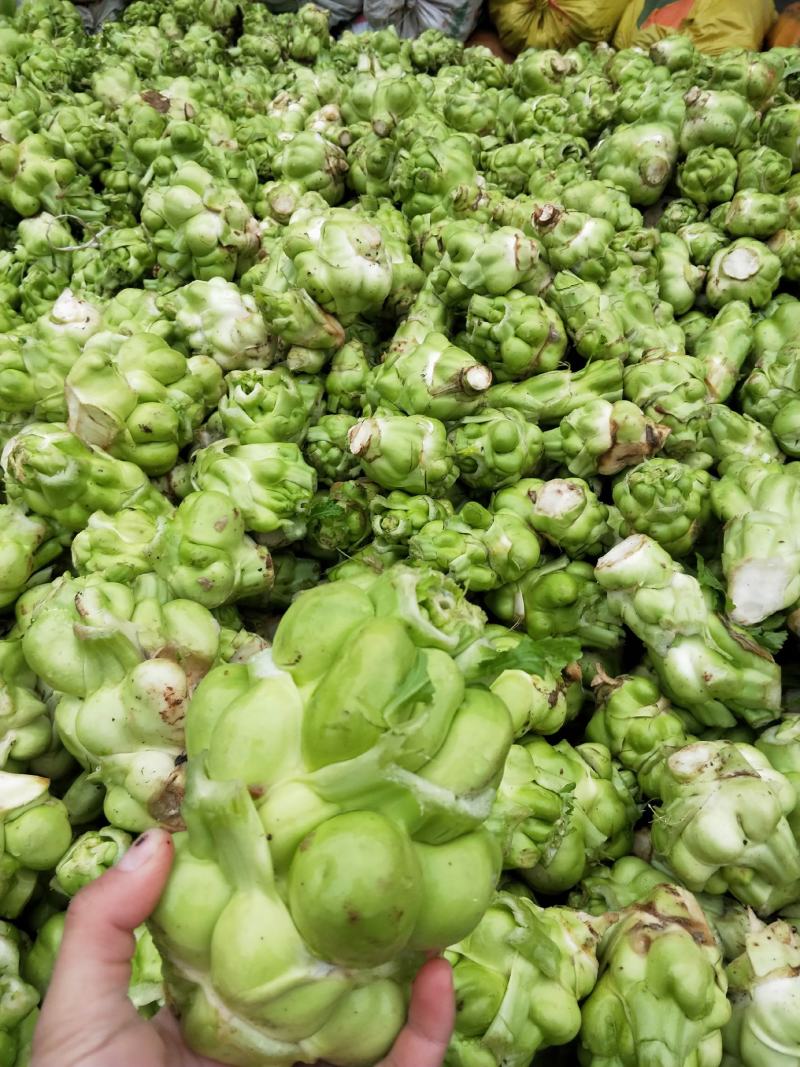 榨菜青菜头眉山特产榨菜