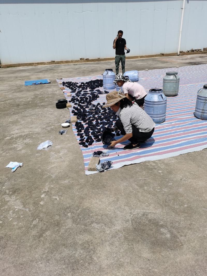 蓝靛泥（由南板蓝根枝叶提炼而成）品质保证，欢迎下单