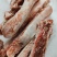 新鲜猪肉排骨肉肋排小排猪排骨肉肋排寸排纯肋排条冷冻食材批