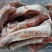 新鲜猪肉排骨肉肋排小排猪排骨肉肋排寸排纯肋排条冷冻食材批