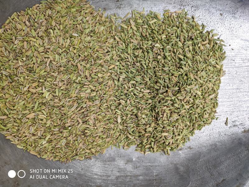 国产小茴香，国产小茴香，国产小茴香，以实物为准