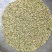 国产小茴香，国产小茴香，国产小茴香，以实物为准