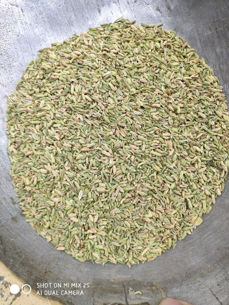国产小茴香，国产小茴香，国产小茴香，以实物为准