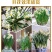 水仙花种球水养室内花种子秋冬季水培植物水仙球重瓣水仙