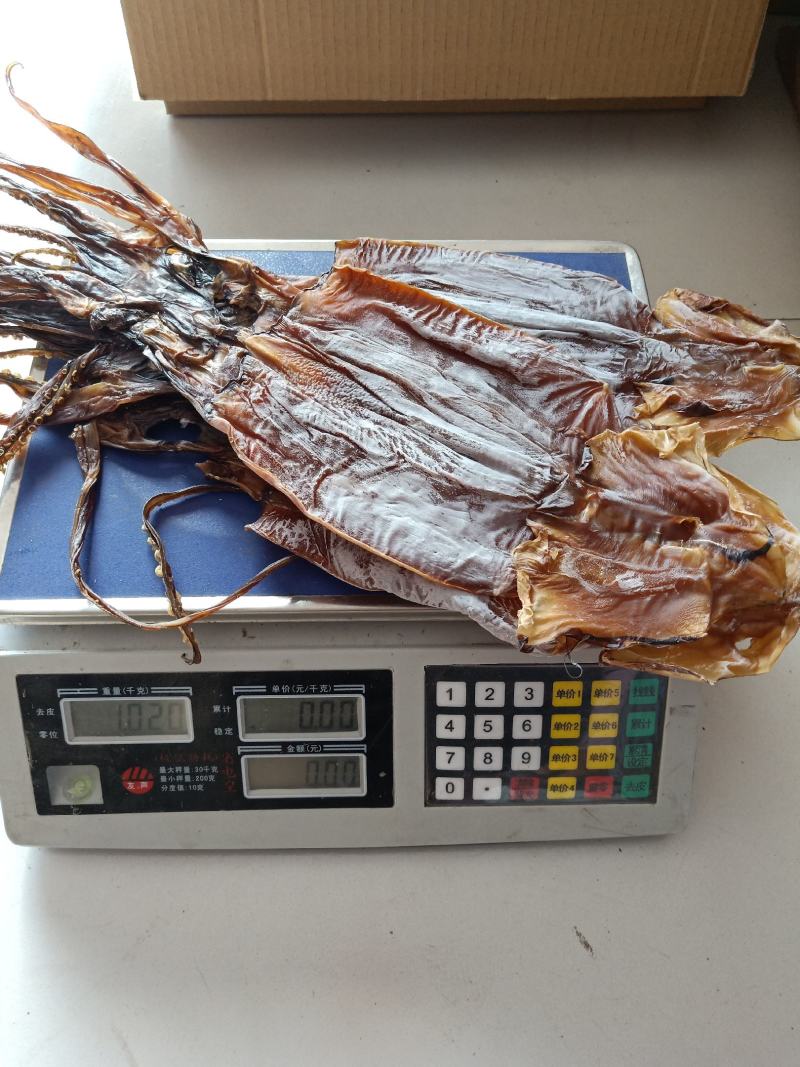 鱿鱼干，淡干产地直发盐干淡干不包运费