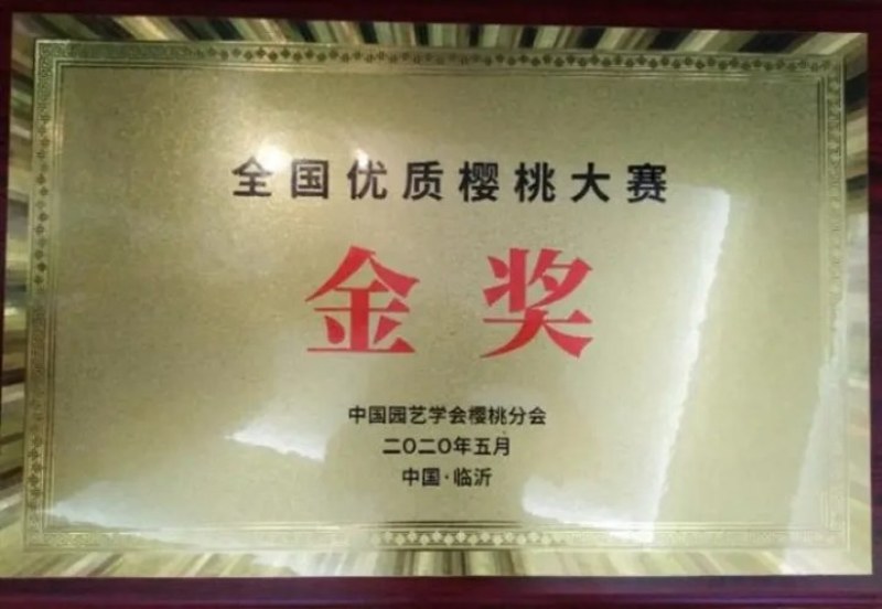 新品种早熟八月红酥梨树苗【速生生长速度结果快】