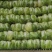 本地大量黄心大白菜，产地直发，货源充足，诚信经营欢迎采购