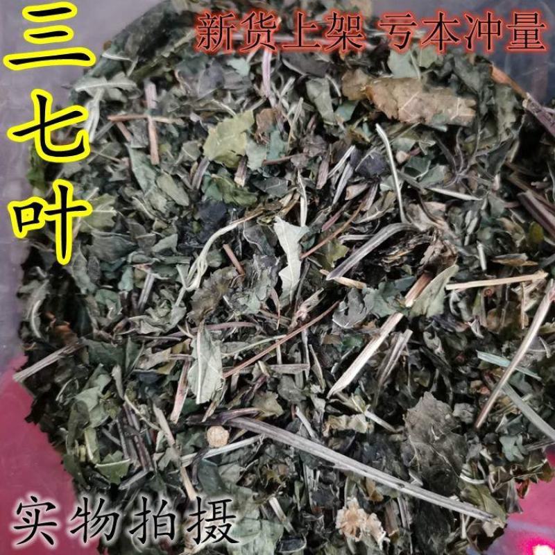 三七叶云南文山三七叶可打粉正品保障大量批发