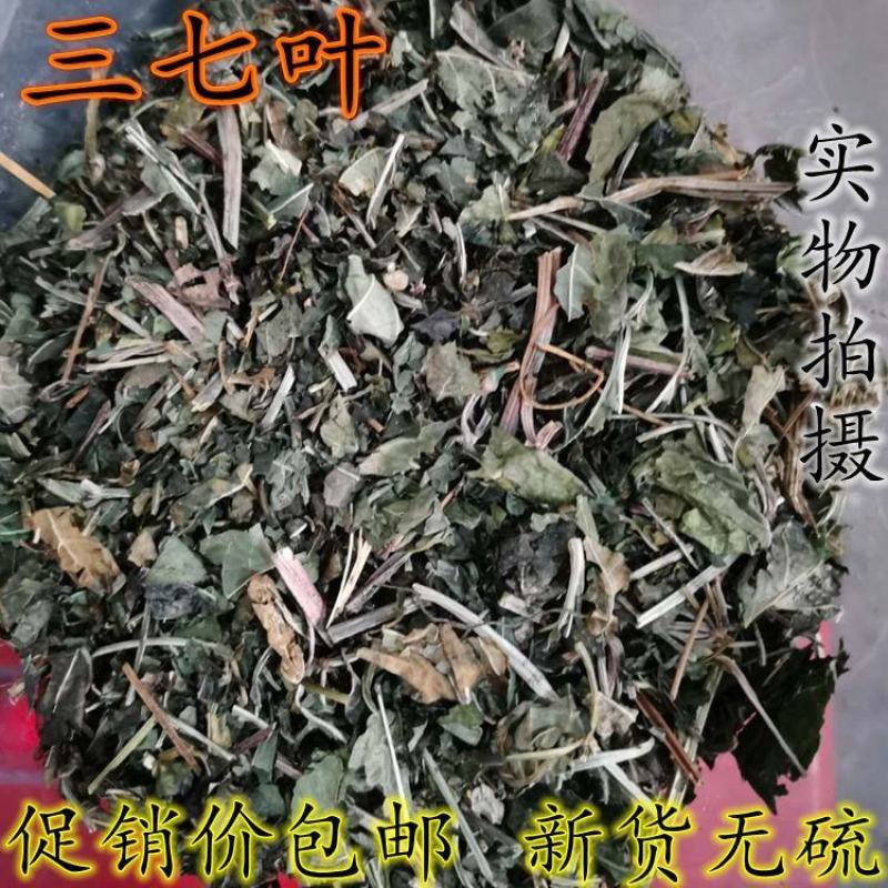 三七叶云南文山三七叶可打粉正品保障大量批发