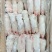 带筋猪蹄新鲜冷冻小猪蹄猪脚20斤35个到40个左右卤菜饭