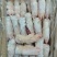 带筋猪蹄新鲜冷冻小猪蹄猪脚20斤35个到40个左右卤菜饭